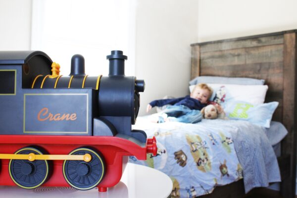 Train 2 Adorables Ultrasonic Cool Mist Humidifiers - Train